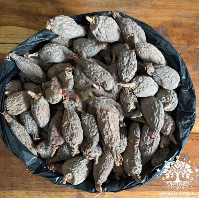 PIMENT DE GUINÉE